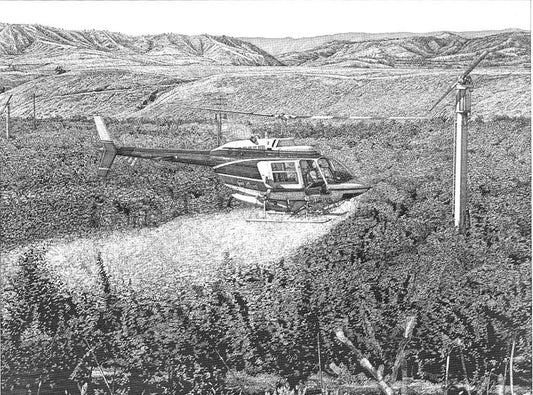 Bell 206 DeSpain Pen and Ink Drawing