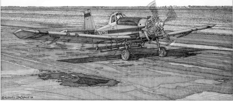 M-18 Dromader DeSpain Pen and Ink Drawing